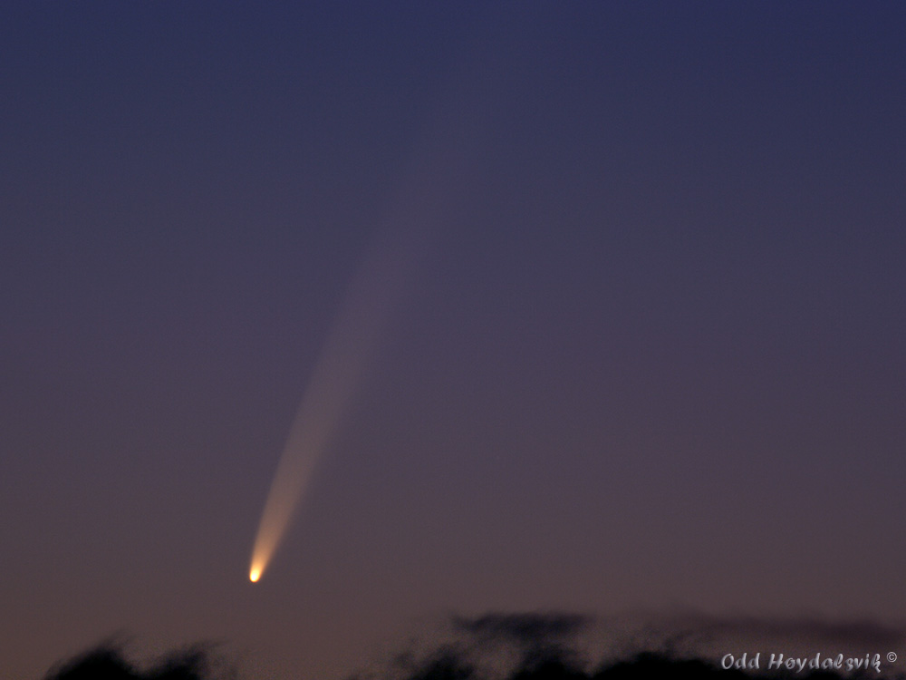Photo of Comet McNaught