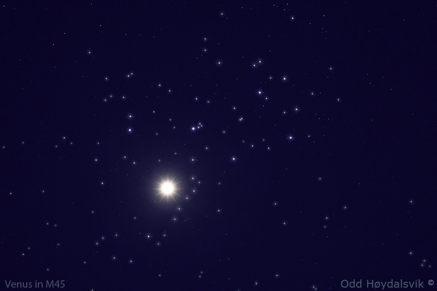 Venus in M45