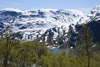 Vårbilder fra Mjølfjell
